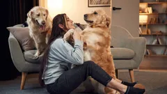 Bonus animali domestici 2025 al via: quali sono i requisiti e come richiederlo