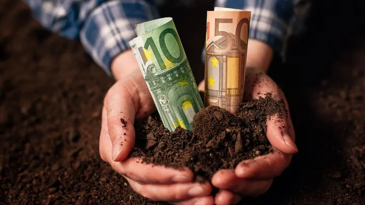 Disoccupazione agricola 2025, pagamenti INPS in ritardo: per chi arriva a luglio e quando
