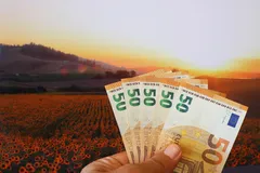Disoccupazione agricola 2025, pagamenti INPS in ritardo ad agosto o settembre: ecco perché slitta