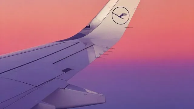 Tesla vs Delta Air Lines: due Giganti a confronto nell'era dei Dazi