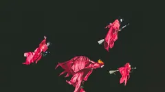 Il giorno delle Quattro Streghe, impatto moderato sui mercati.