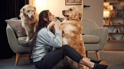 Bonus animali domestici 2026: tutti i requisiti per ottenere detrazione fiscale e contributo sociale