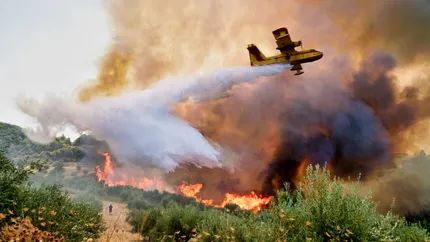 Commissione Europea: scatta il meccanismo di protezione civile UE per incendi in Belgio e Spagna