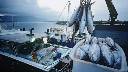 Consiglio dell'UE: posizione su sostegno a politiche per la pesca
