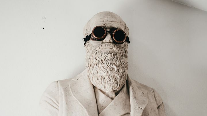 La selezione darwiniana in borsa: vince chi si adegua