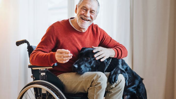 Pensioni d’invalidità, INPS conferma: in arrivo un nuovo maxi aumento. Ecco come averlo